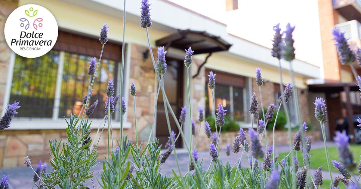 Residencial Dolce Primavera - Imagen 5